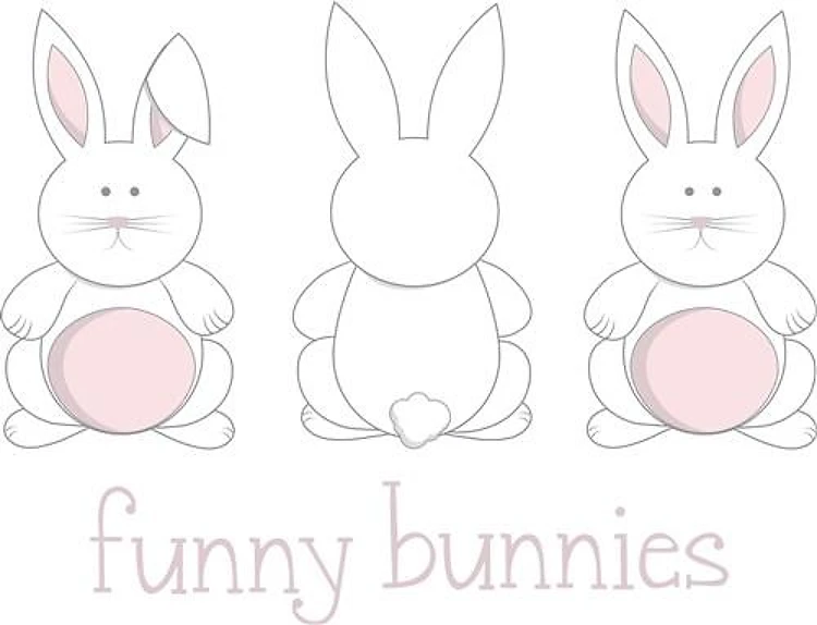 Funny Bunnies