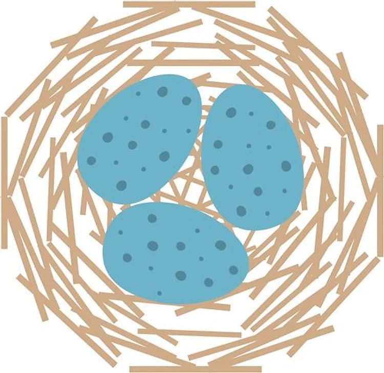 Easter Bird Nest