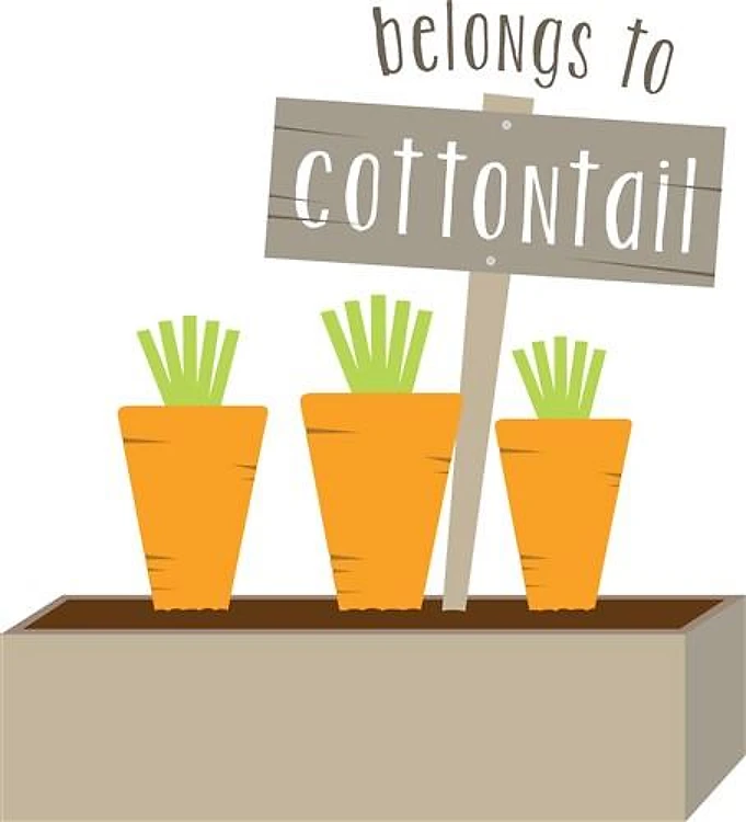 Belongs to Cottontail