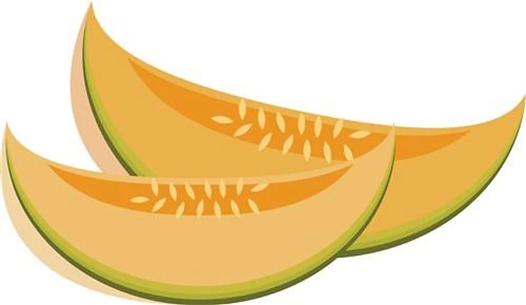 Cantaloupe