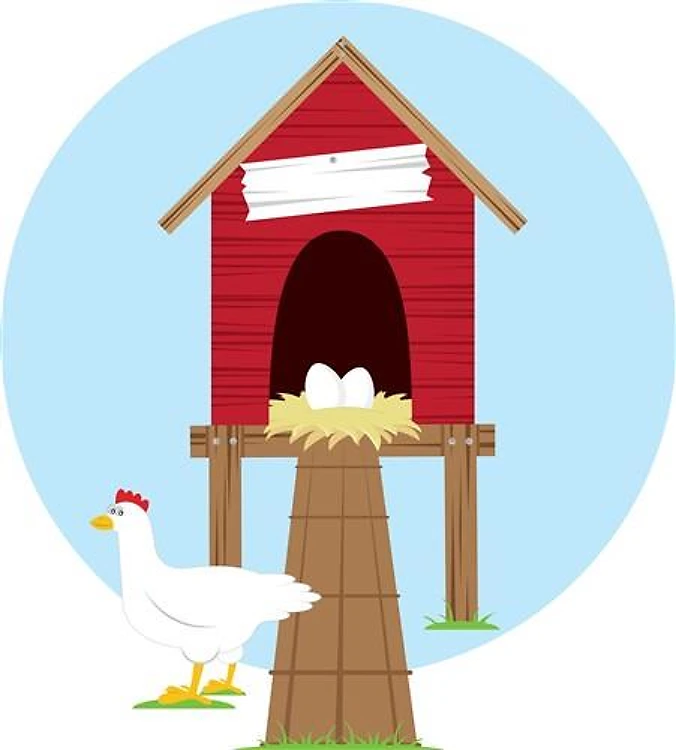Chicken Coop