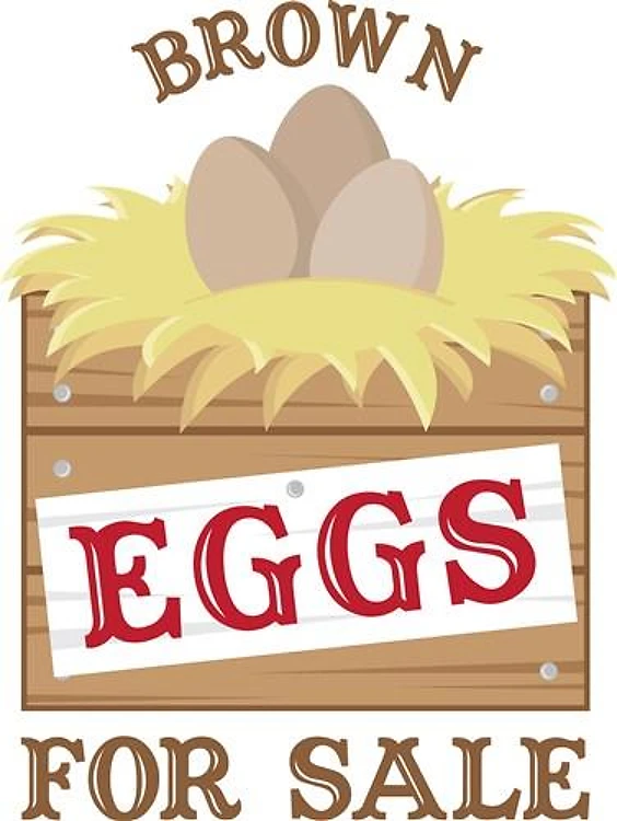 Brown Eggs For Sale