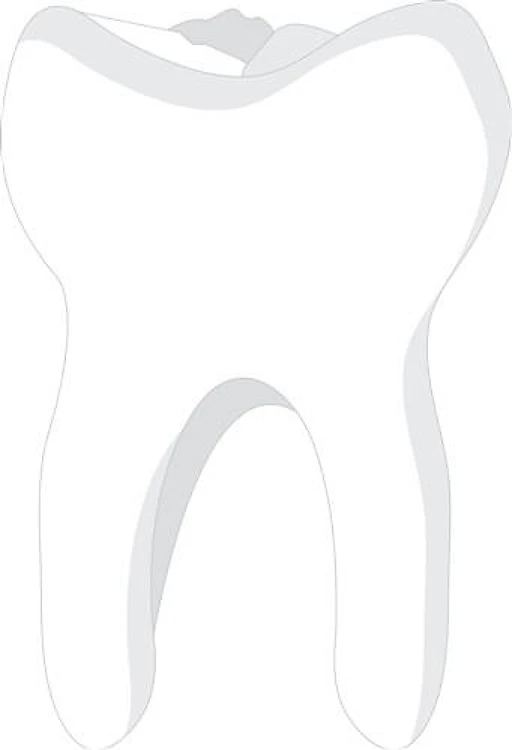 Molar Tooth