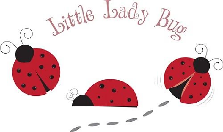 Little Lady Bug