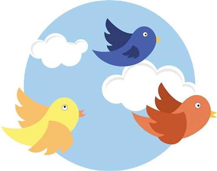 Cartoon Birds