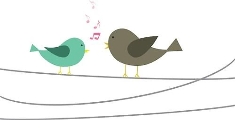 Singing Birds