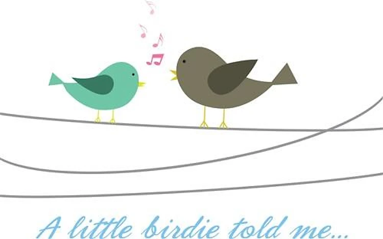 A Little Birdie Told Me