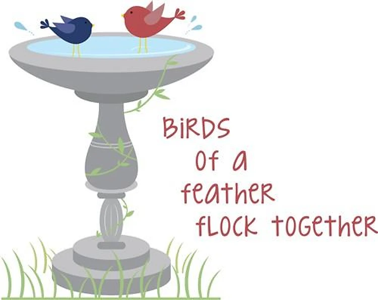 Birds of a Feather