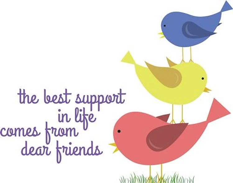 Best Support