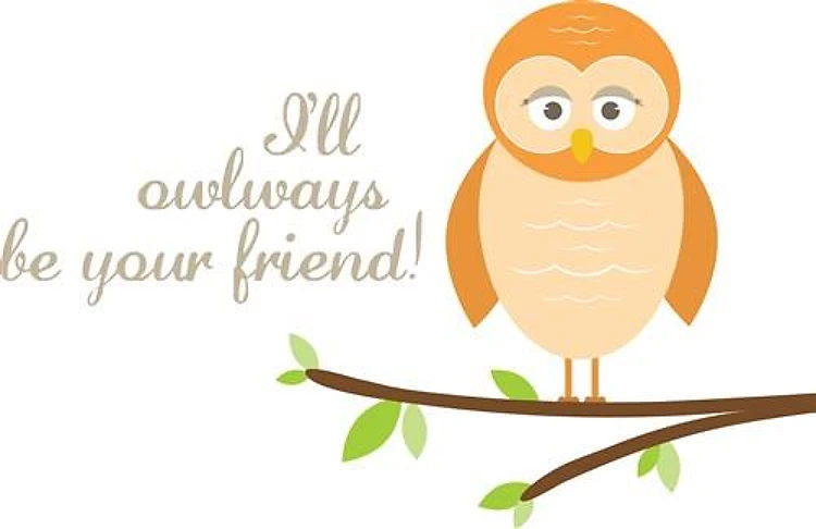 Owlways Be Your Friend