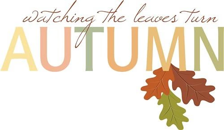 Watching the Leaves