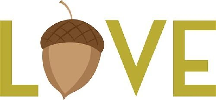 Acorn Love