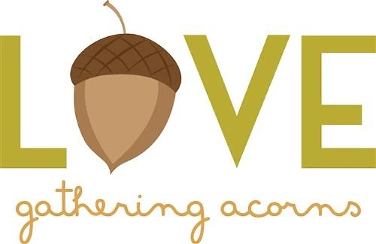 Gathering Acorns