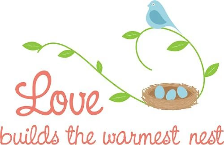 The Warmest Nest