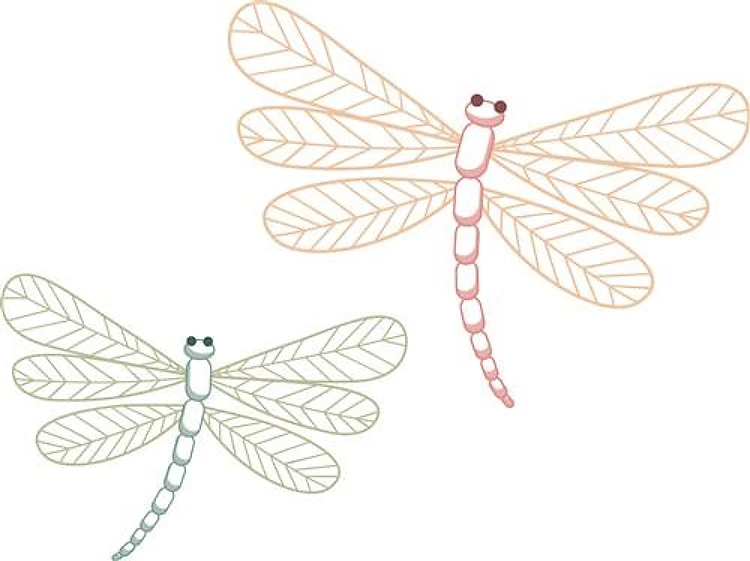 Dragonfly Outlines