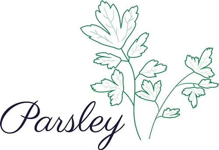 Parsley Plant