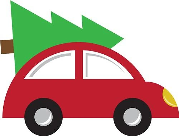 Christmas Beetle