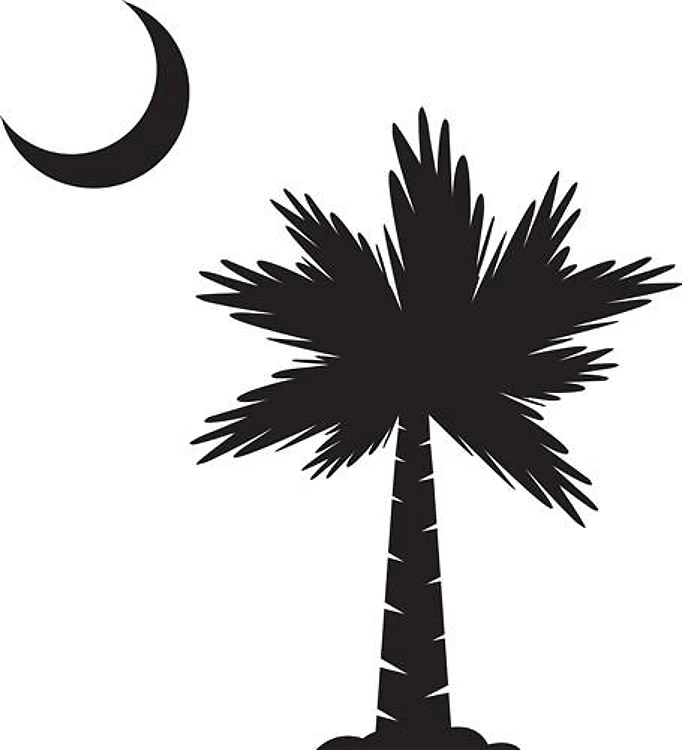 Palmetto Moon