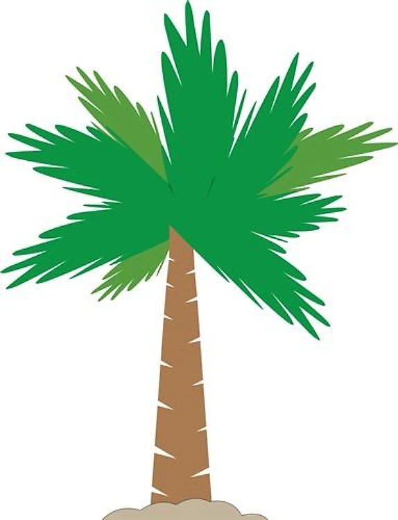Palm Tree