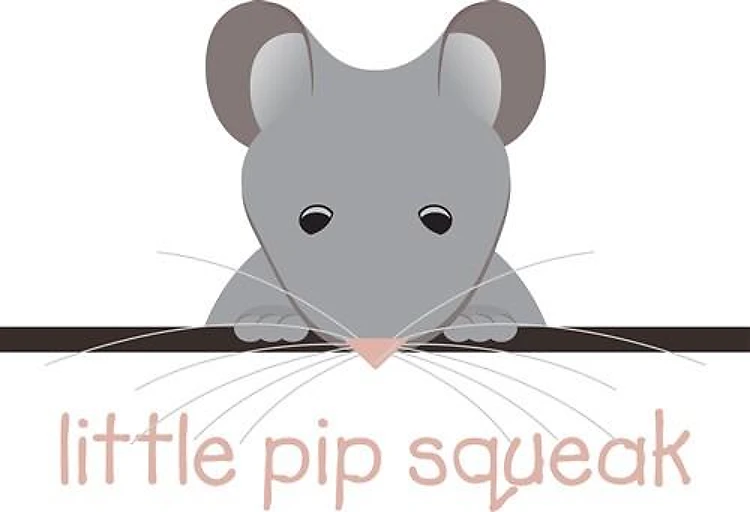Little Pip Squeak