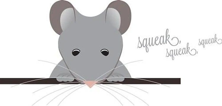 Mouse Squeak