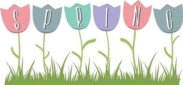 Spring Tulip Border
