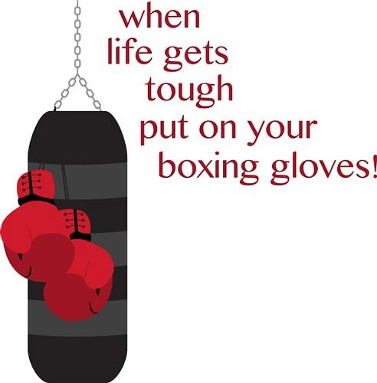 Punching Bag & Gloves