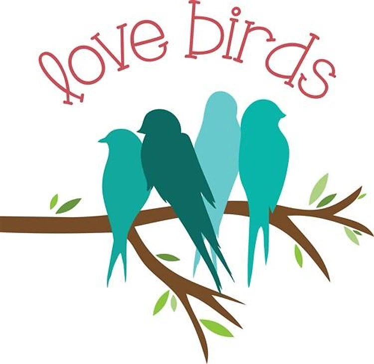 Branch Love Birds