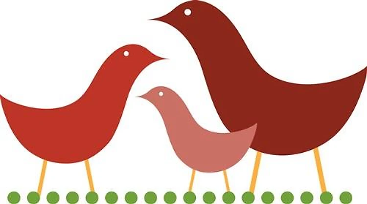 Chicken Family