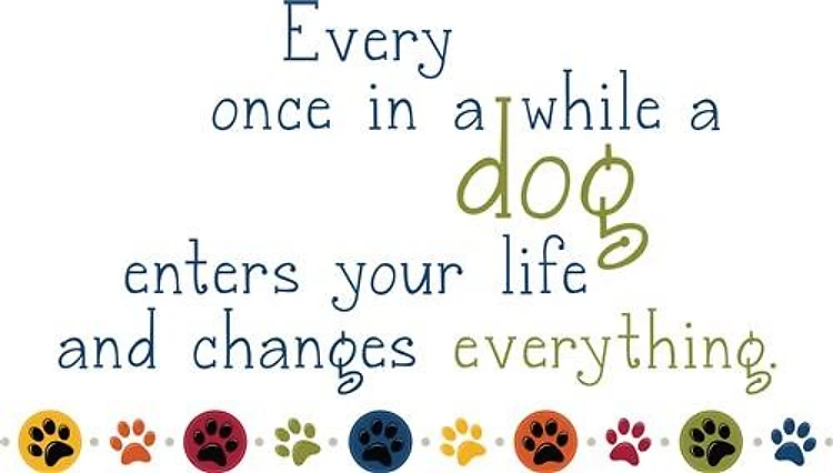 A Dogs Life