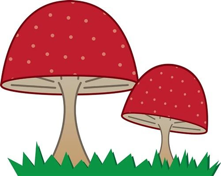 Gnome Mushroom