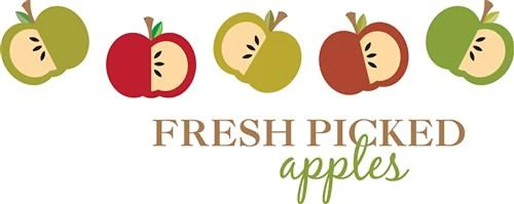 Fresh Picked Apples