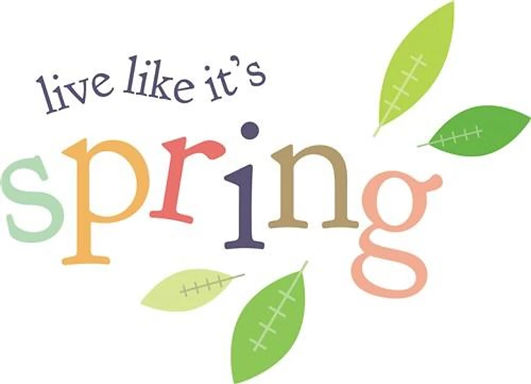 Live Like Its Spring
