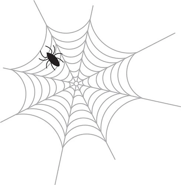 Spider Web