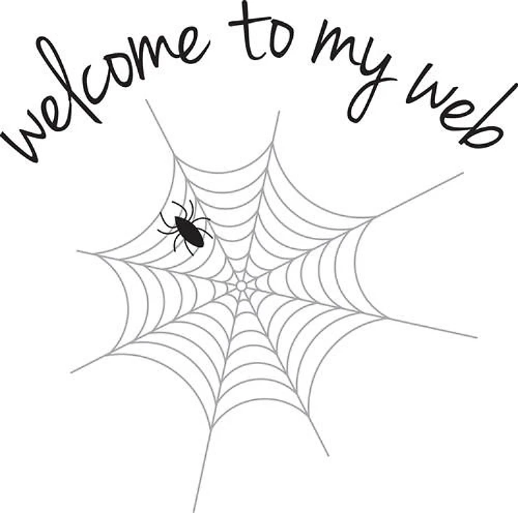 Welcome To My Web