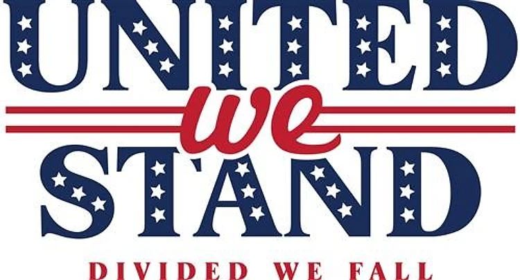 Divided We Fall