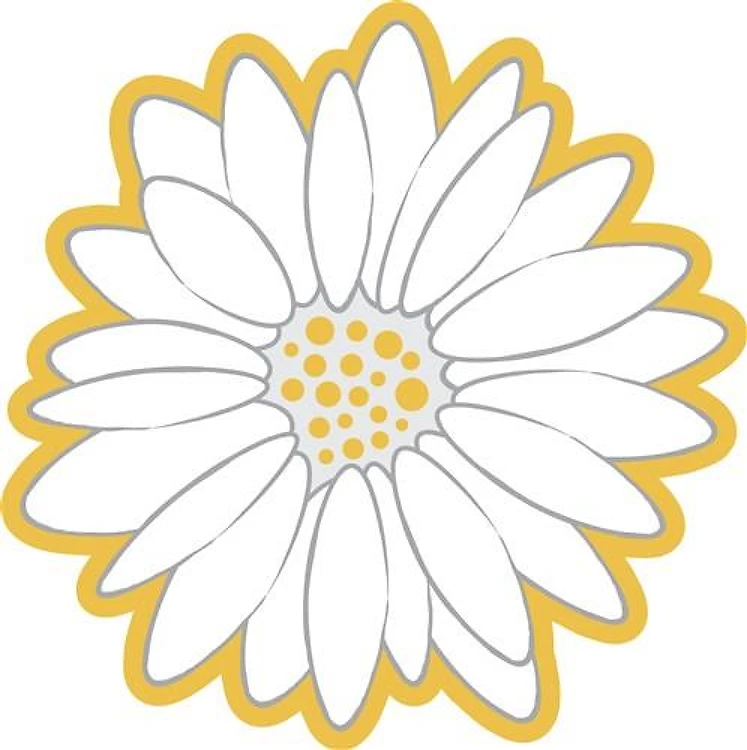 Daisy Flower