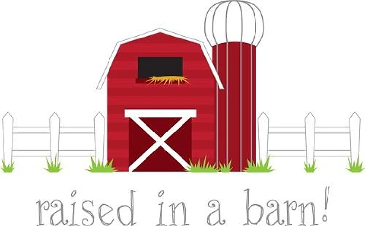 Raised In A Barn
