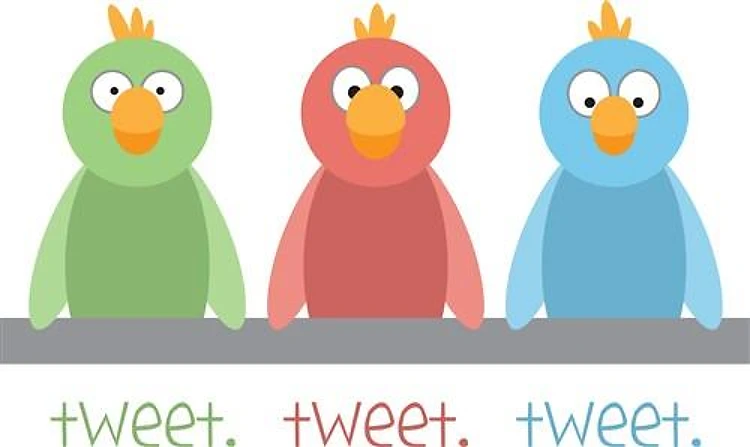 Tweet Birds