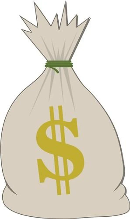 Money Bag
