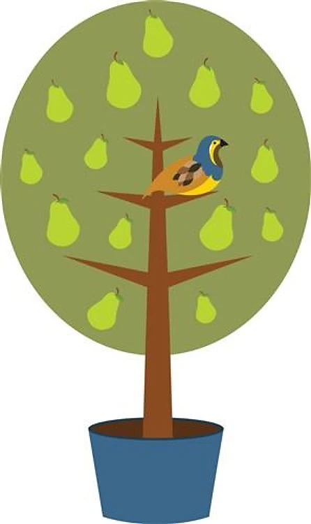 Partridge in a Pear Tree