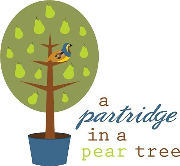 Partridge Christmas
