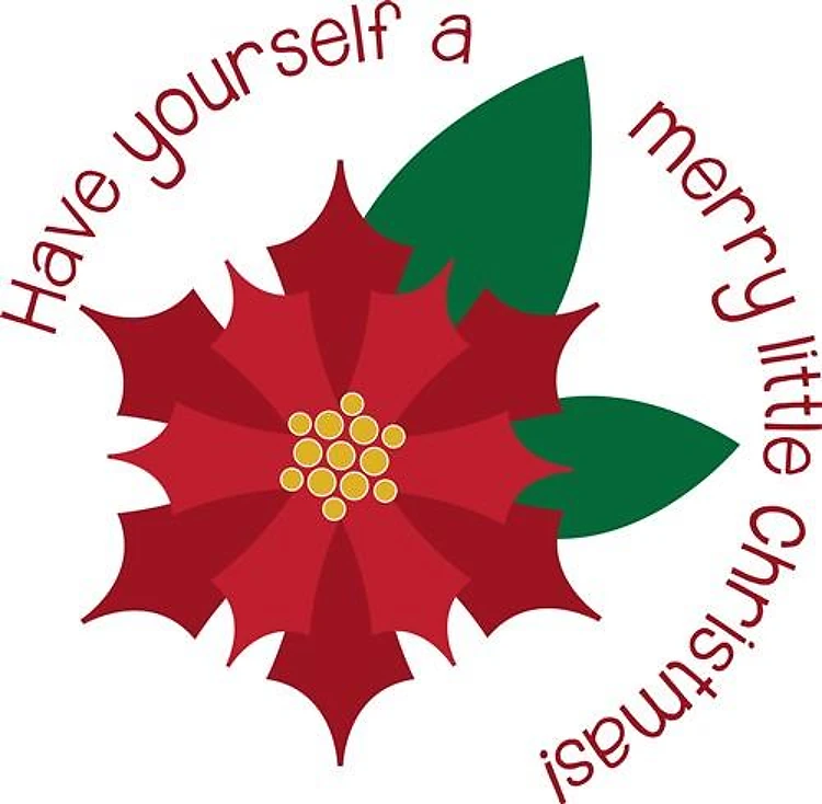 Poinsettia Flower