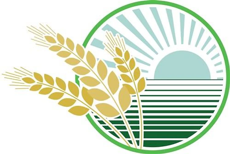 Organic Logo