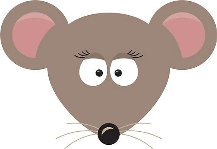 Mouse Head