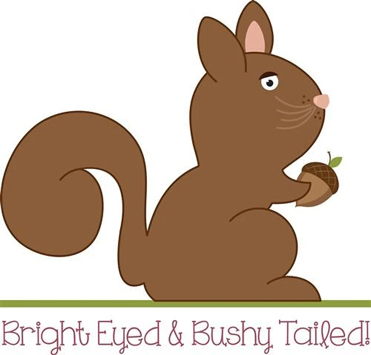 Bright Eyed Squirrel