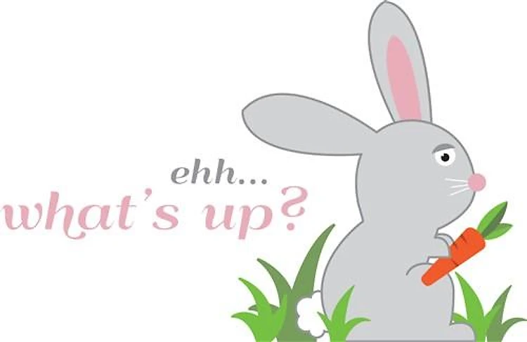 Whats Up
