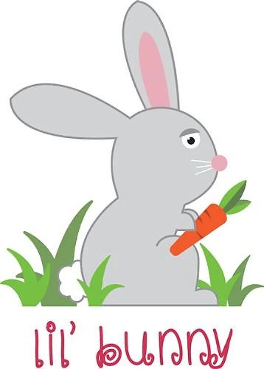 Lil Bunny