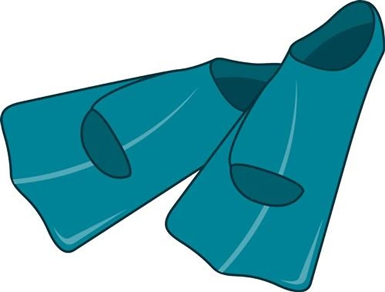 Swim Fins