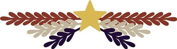 American Star